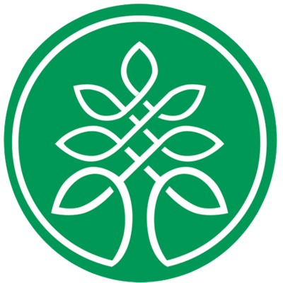 فرش سروستان